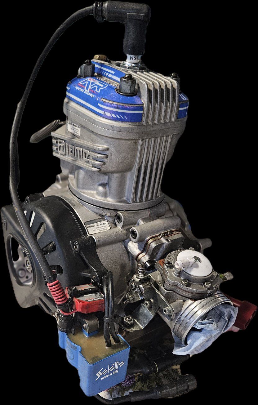 Go-Kart: Kit 2 IAME X30 NEW Kolben – Usato da Quartino venduto da chrilfulmine