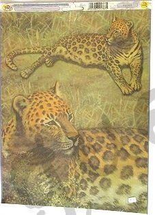 Carta: Découpage Papier Tiere – Nuovo e nell'imballaggio originale da Schlatt TG venduto da mavo85