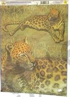 Découpage Papier Tiere