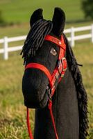 Hobby Horse LEE Steckenpferd