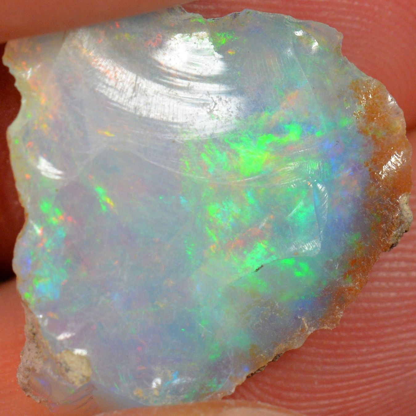 Pierres précieuses: 12 Karat - Roher Äthiopischer Welo Opal – Neuf (Voir description) à Rüti ZH par DeinOpal 2