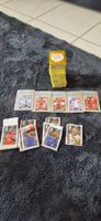 Panini Sticker 550 + Sticker + 5 extra