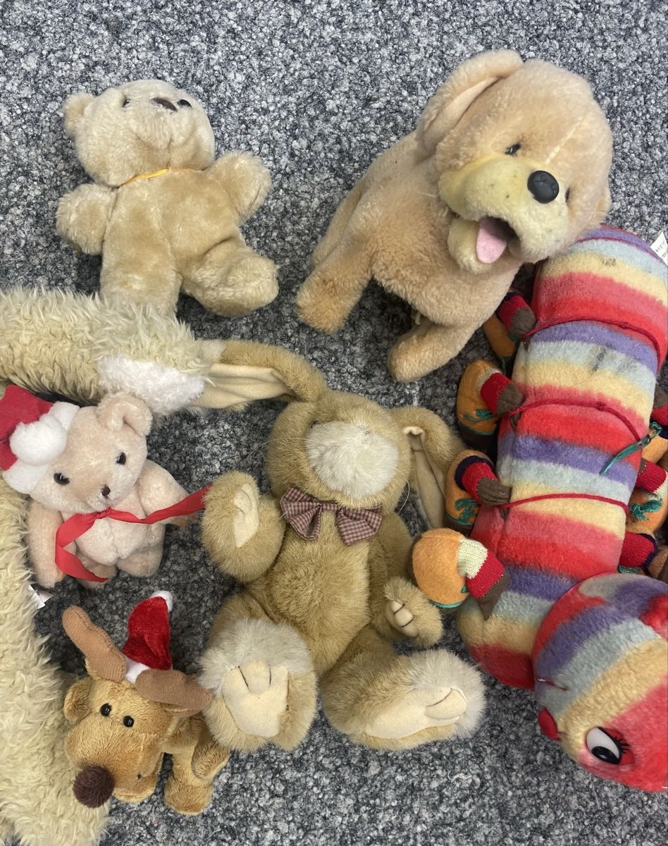 Giocattoli: Plüschtiere, Bär, Hase, Raupe & Reh - – Usato da Au ZH venduto da Jaggy4 3