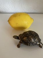 Bronze, Schildkröte klein