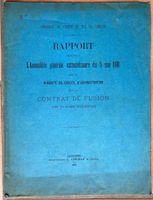 Compagnie du Chemin de Fer du Simplon - Rapport de 1881