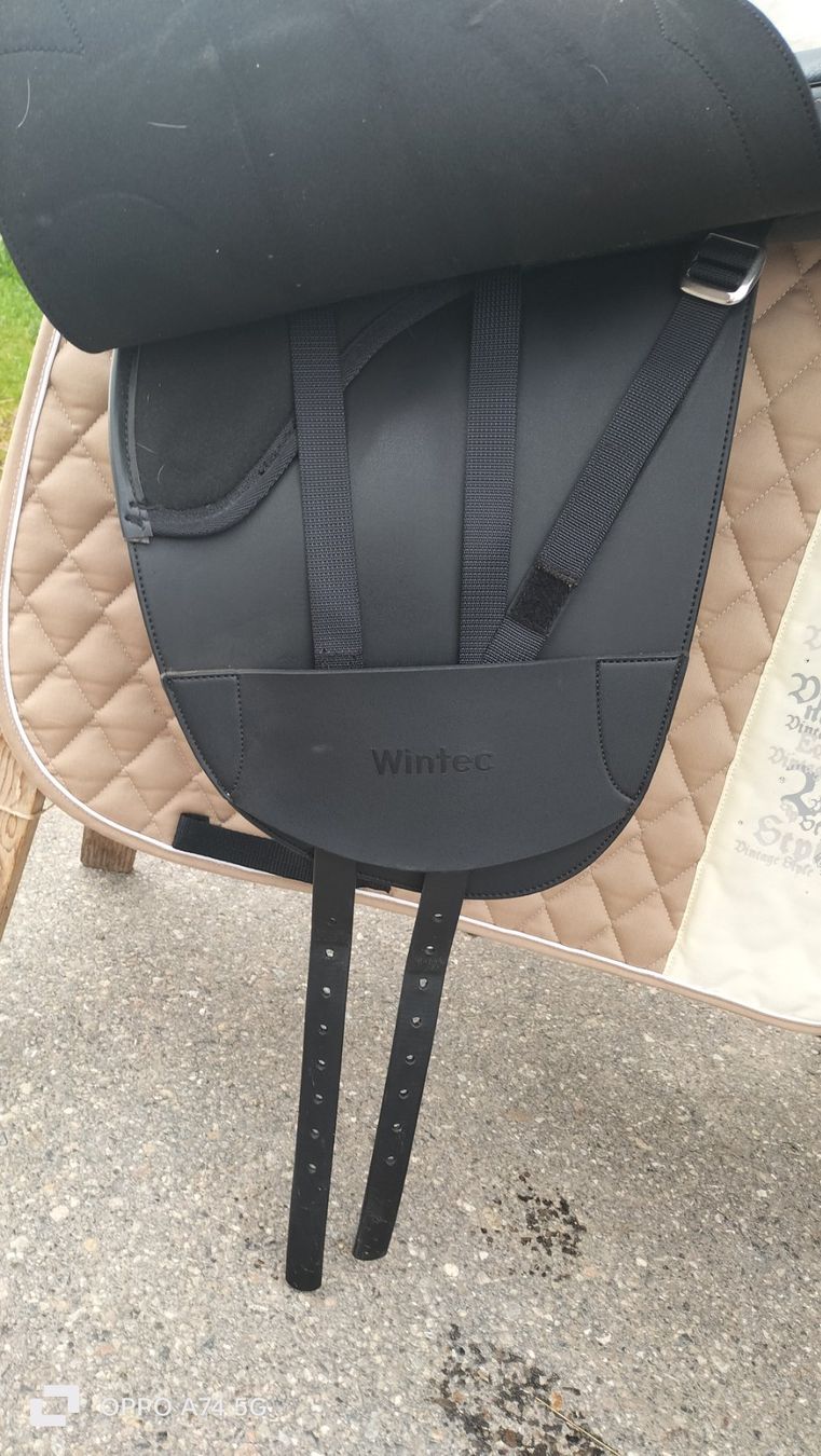 Sattel & Sattelzubehör: Wintec Stocksattel – Gebraucht aus Wolhusen von  9