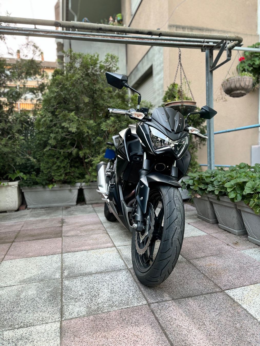 Kawasaki Strasse: Kawasaki Z300 – Gebraucht aus Basel von Alisa_77 4