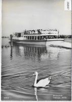 Motorschiff - Untersee-Rhein