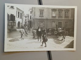 Echt Photo Karte / Samaden - Kuh Treiben ca. 1939