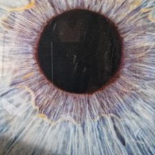 Profile image of Nastylux