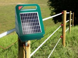 Viehhüter mit Solarzellen und Akku