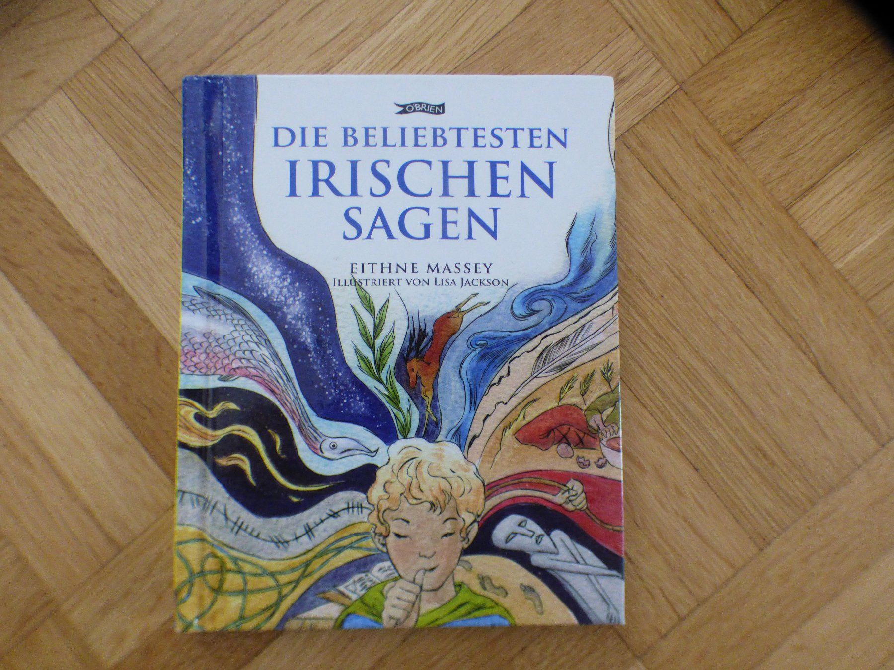 Bücher: Irische Sagen – Gebraucht aus Münchenbuchsee von enzian59