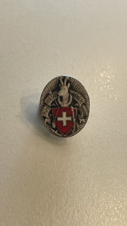 Kleines SAC Abzeichen Kaufen auf Ricardo