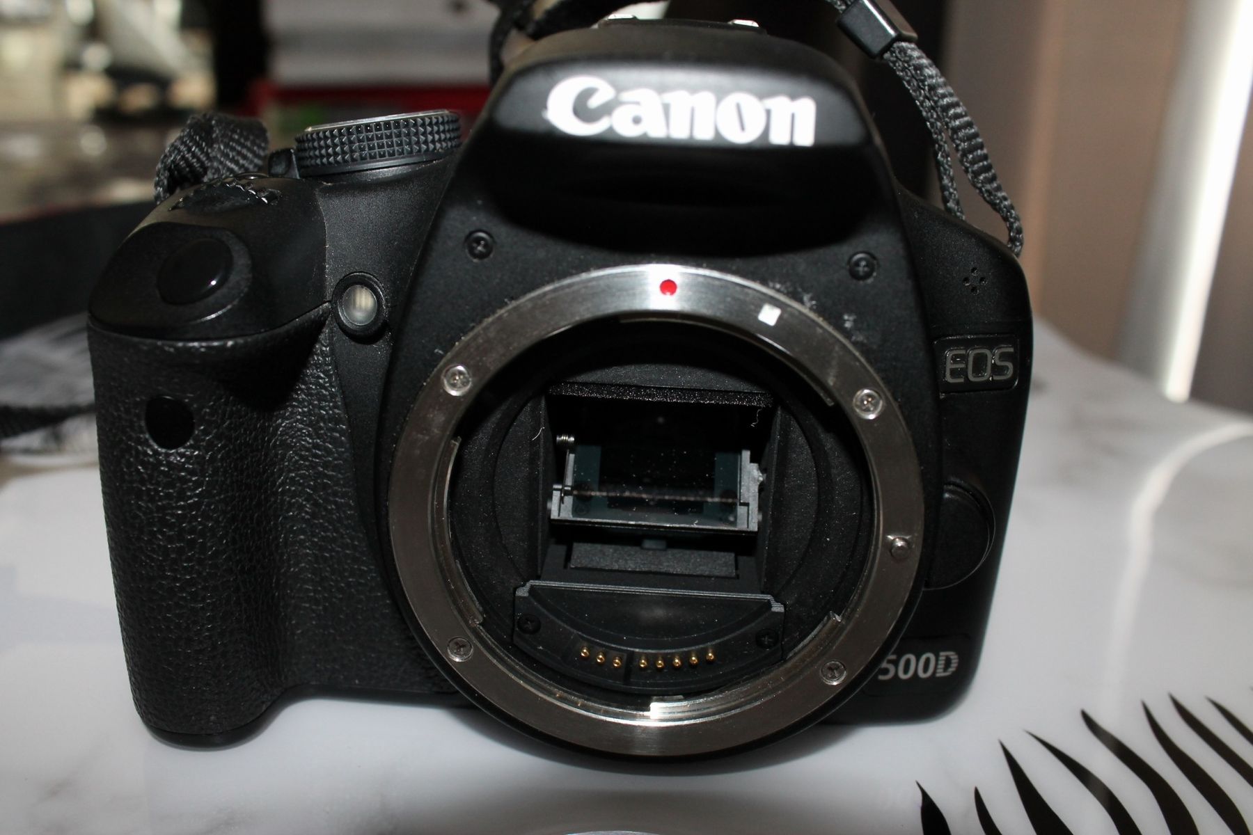 Canon Kamera: Canon 500D + Objektiv 18-55mm – Gebraucht aus Bellach von photo.zaccaro 6