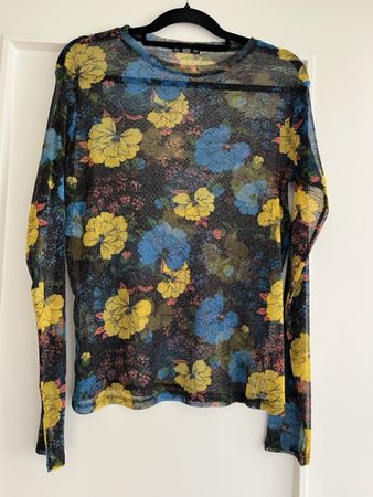 Zara long sleeve transparent top