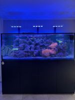 Meerwasseraquarium zu verkaufen