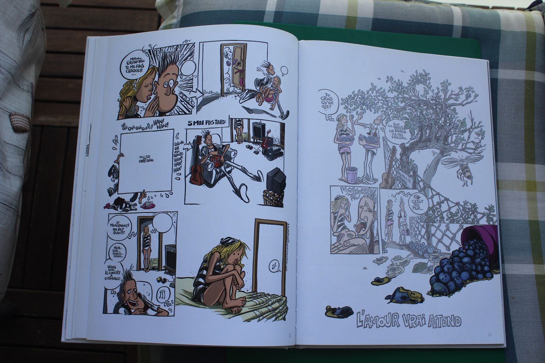 Fumetti: BD de A. Auderset - Les IndécrotablesQuestions – Usato da Rennaz venduto da lorada01 2