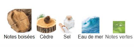 Xerjoff Profumi & Eau de Toilette: 40 Knots, Xerjoff - Echantillon 3ml, 5ml, 10ml – Nuovo (secondo la descrizione) da Riehen venduto da ced_gs5t 3