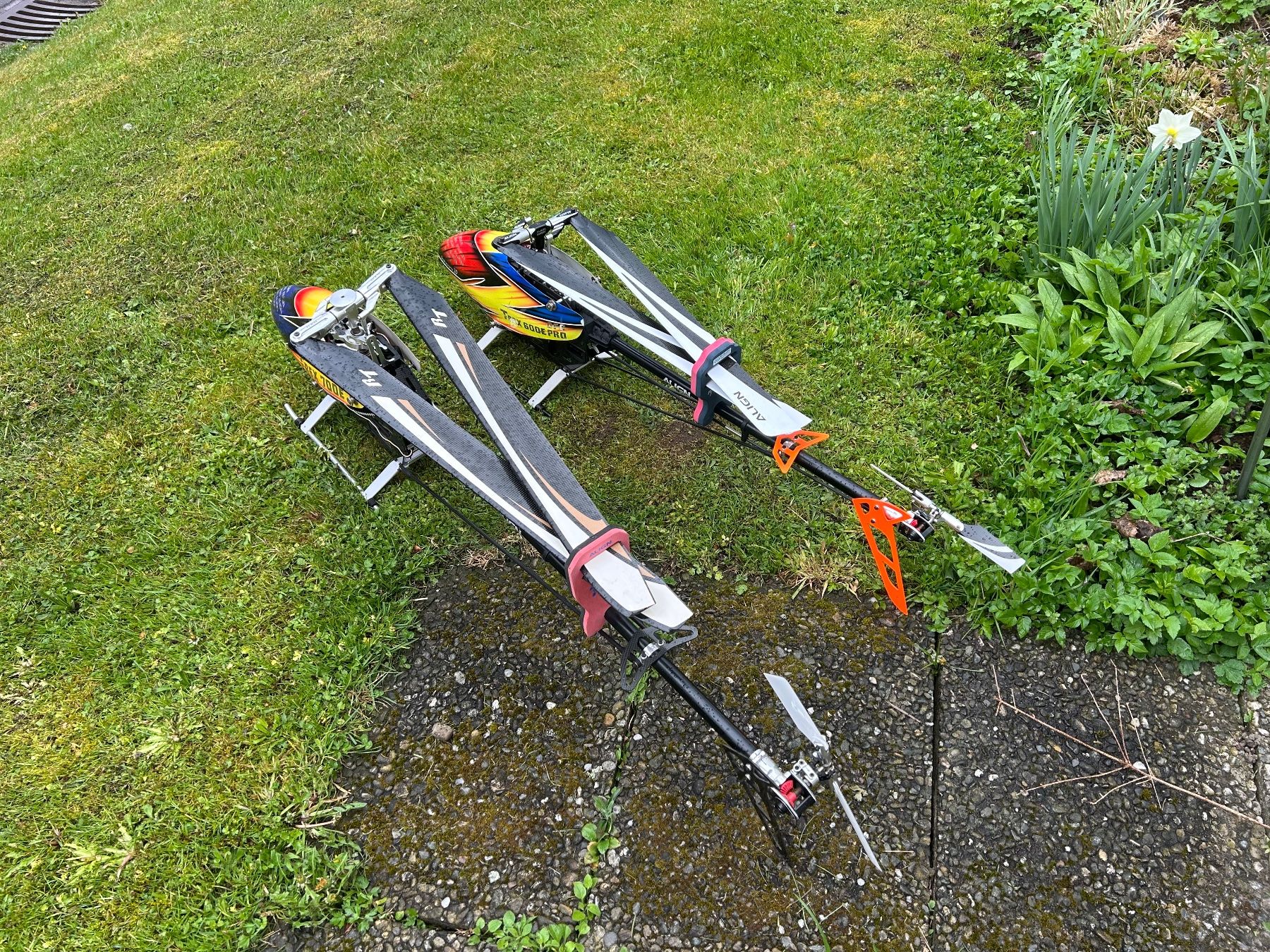 Align Modellismo RC: Trex 600 dfc pro komplett Bavaria Demon – Usato da Dättwil AG venduto da Egrace 4