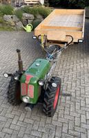 Rapid Spezial Jahrgang 1969 zu verkaufen 