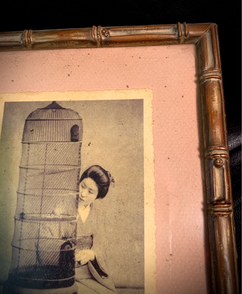 Foto & Immagini: Bamboo style frame- Geisha with birdcage – Usato da Steinmaur venduto da Flashy01 2