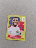 Panini HAI8