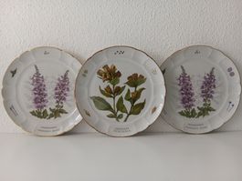 SUISSE LANGENTHAL 3 x assiettes SIEGRFRIED MCMLXXIV+ MCMLXXV