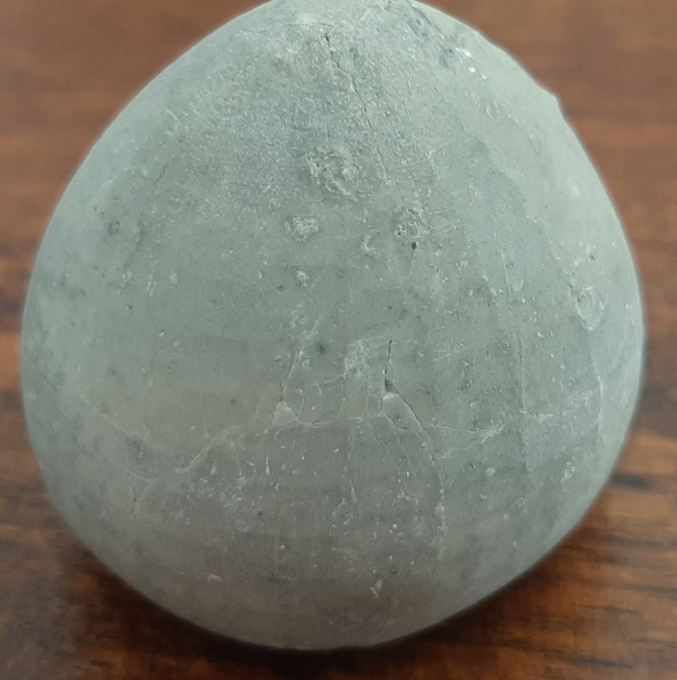 Fossilien: Seeigel Fossil 2 Stück Deutschland – Gebraucht aus Rickenbach BL von Oktober68 3