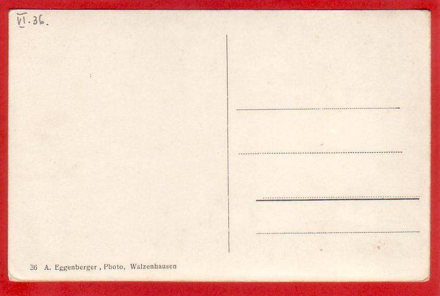 Cartoline postali: WALZENHAUSEN TEILANSICHT – Usato da Grüningen venduto da Kartenlaube 1