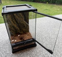 Terrarium