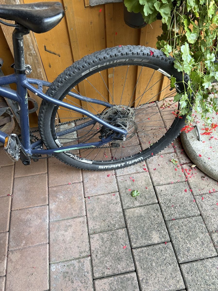 Velos: Leopard MTB – Gebraucht aus steffisburg von fluehli368 1