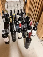 🍷 PRIVATE WEINSAMMLUNG – 25 FLASCHEN – CHF 450 🍷