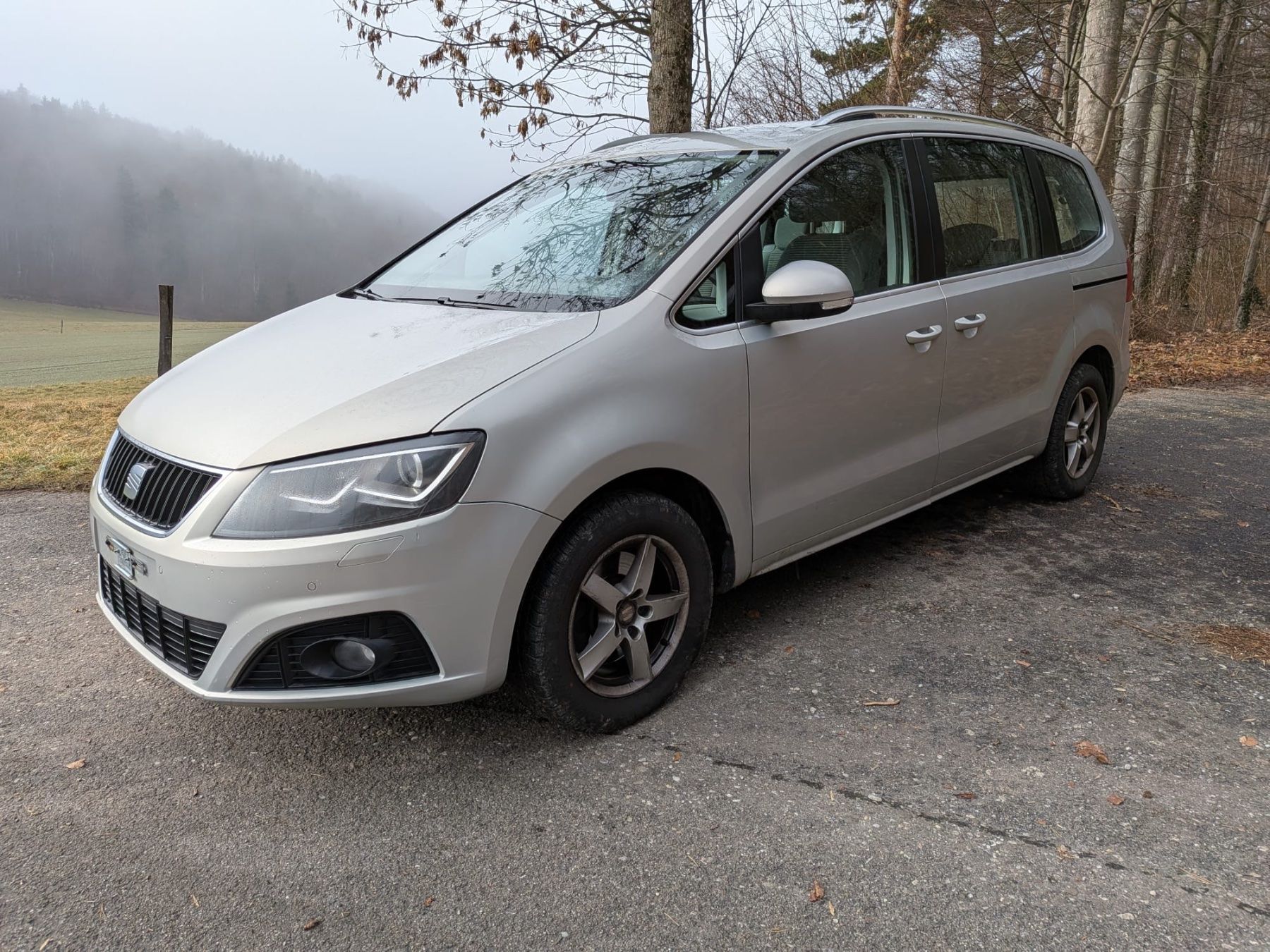Seat Automobili: Seat Alhambra 2.0D 4M 4x4 – Usato da Wittinsburg venduto da porsche59 1