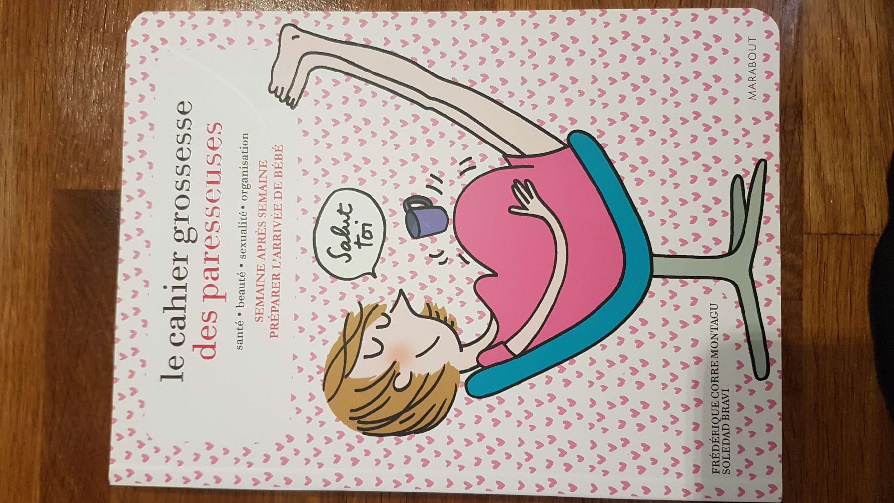 Bücher: Cahier grossesse des paresseuses – Neu (gemäss Beschreibung) aus fribourg von pegalex