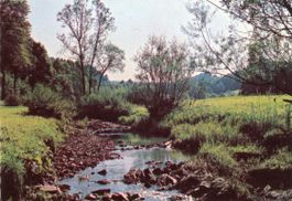 Birmensdorf  ZH      mit Bahnstempel         um 1967