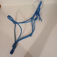 Licol corde bleu ethologie shetland