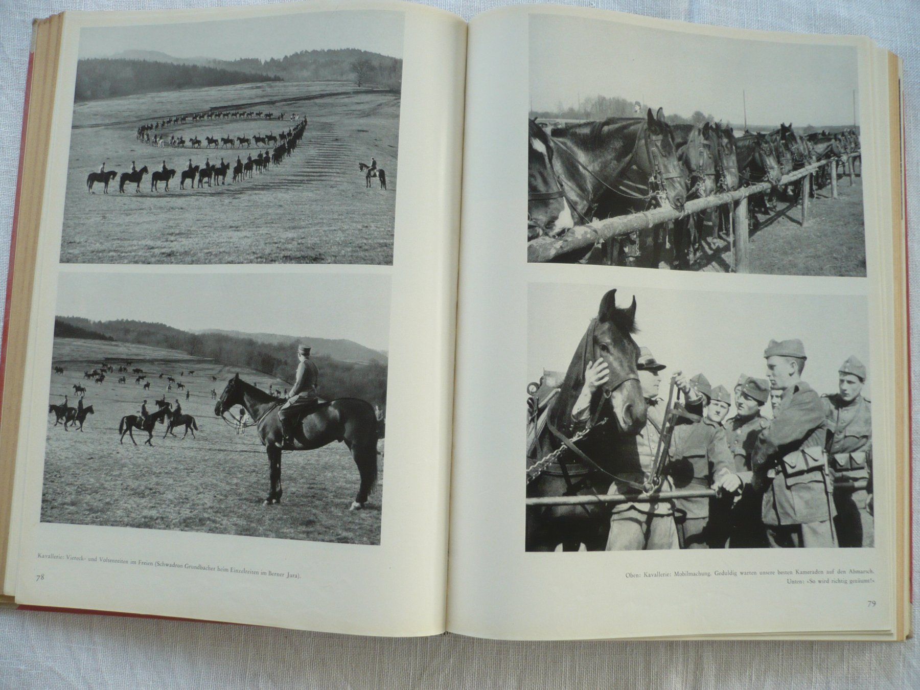 Bücher: Schweizer Pferdebuch 1944 – Gebraucht aus Zürich von saltandpepper008 6