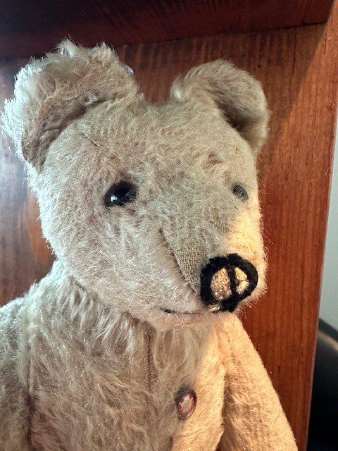 Jouets: aLteR TeDDy – D'occasion à Winkel par zeho 2