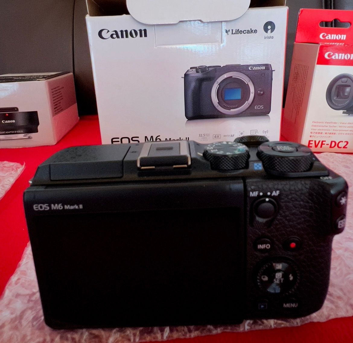 Canon Fotocamera: Canon Eos M6mkii – Usato da Köniz venduto da 12drita 1