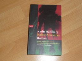 Kalter November - Karin Wahlberg