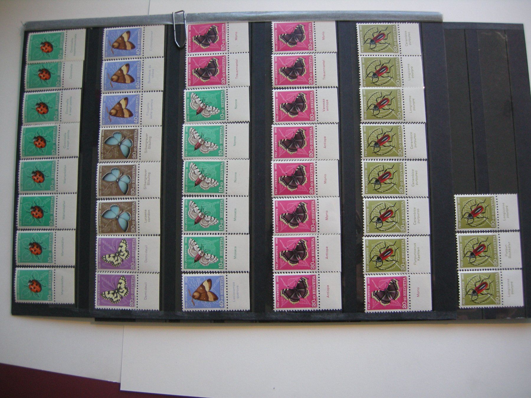Alle Briefmarken: 1952/1953 PRO JUVENTUTE TABS, RESTLOT, POSTFRISCH/** – Gebraucht aus Rüti ZH von jupi1945 1