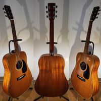 Western Gitarre Morris WT-19
