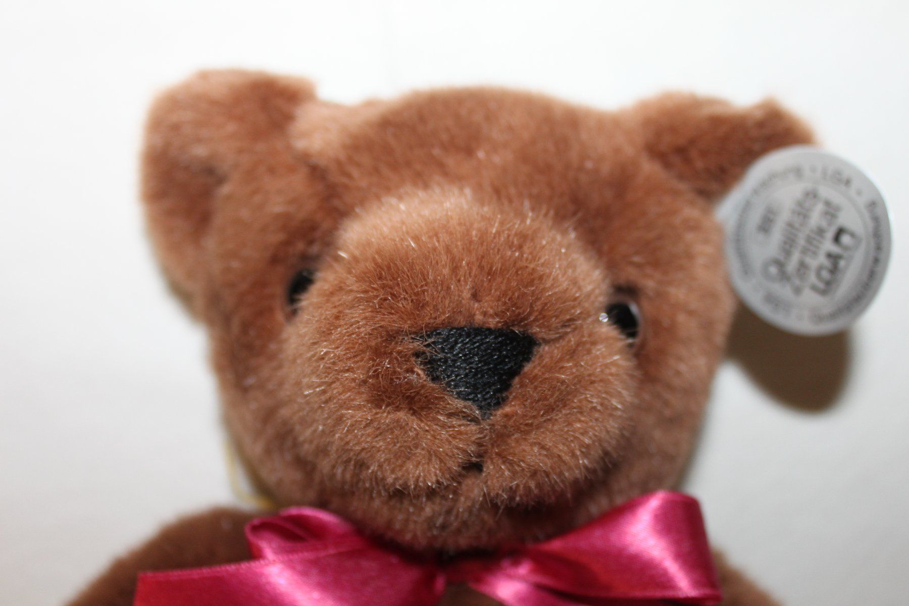 Giocattoli: Althans Club Teddybär "Sammy" – Usato da Glarus venduto da Toni-Glarus 4