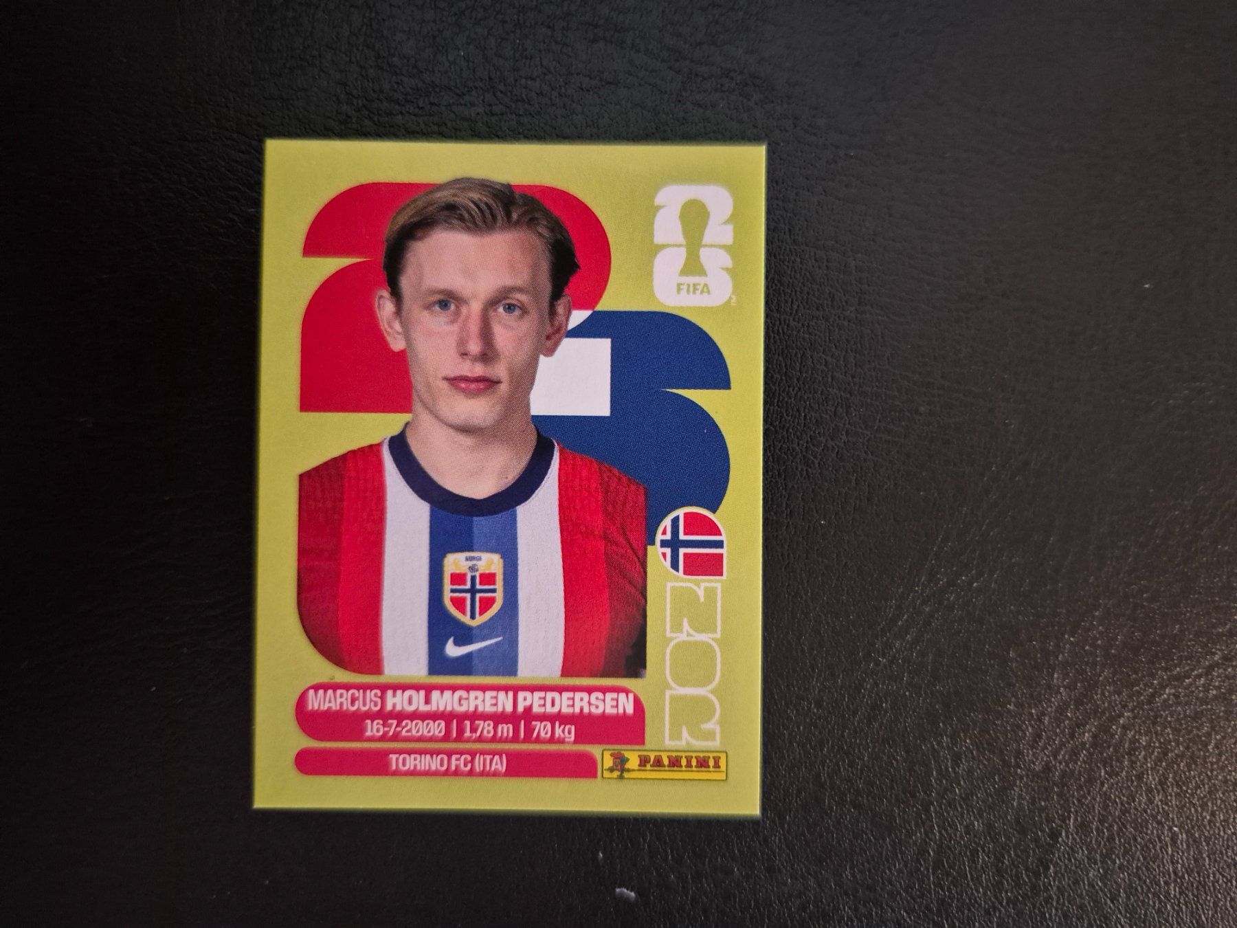 Panini Carte collezionabili: Panini WM 26 NOR 6 – Nuovo (secondo la descrizione) da Rorschacherberg venduto da AJ3108