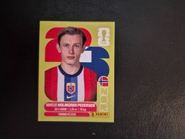 Panini WM 26 NOR 6