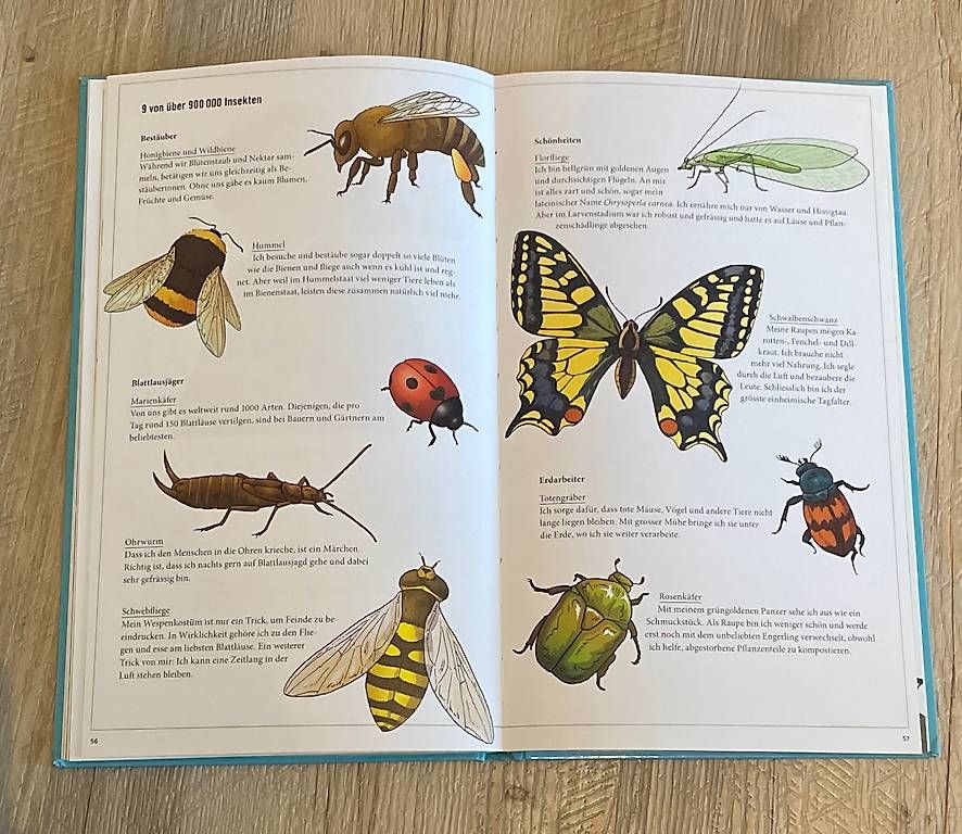 Libri: Globi und der Planet Erde – Usato da Schwellbrunn venduto da N_adine-92 1