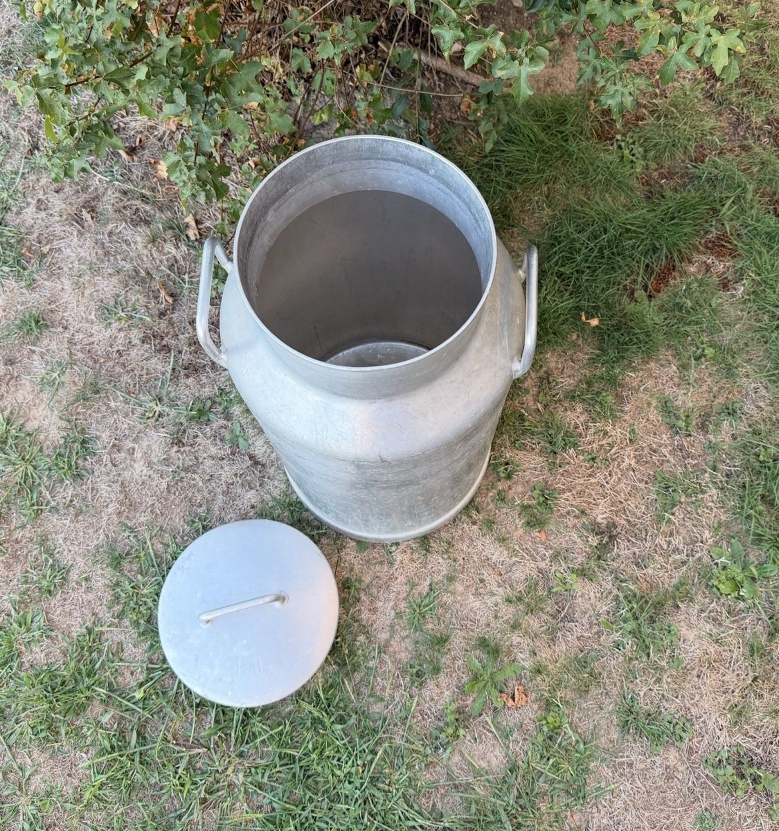 Landwirtschaft: Milchkanne 50 L – Gebraucht aus Gerlafingen von HungerDiva 2