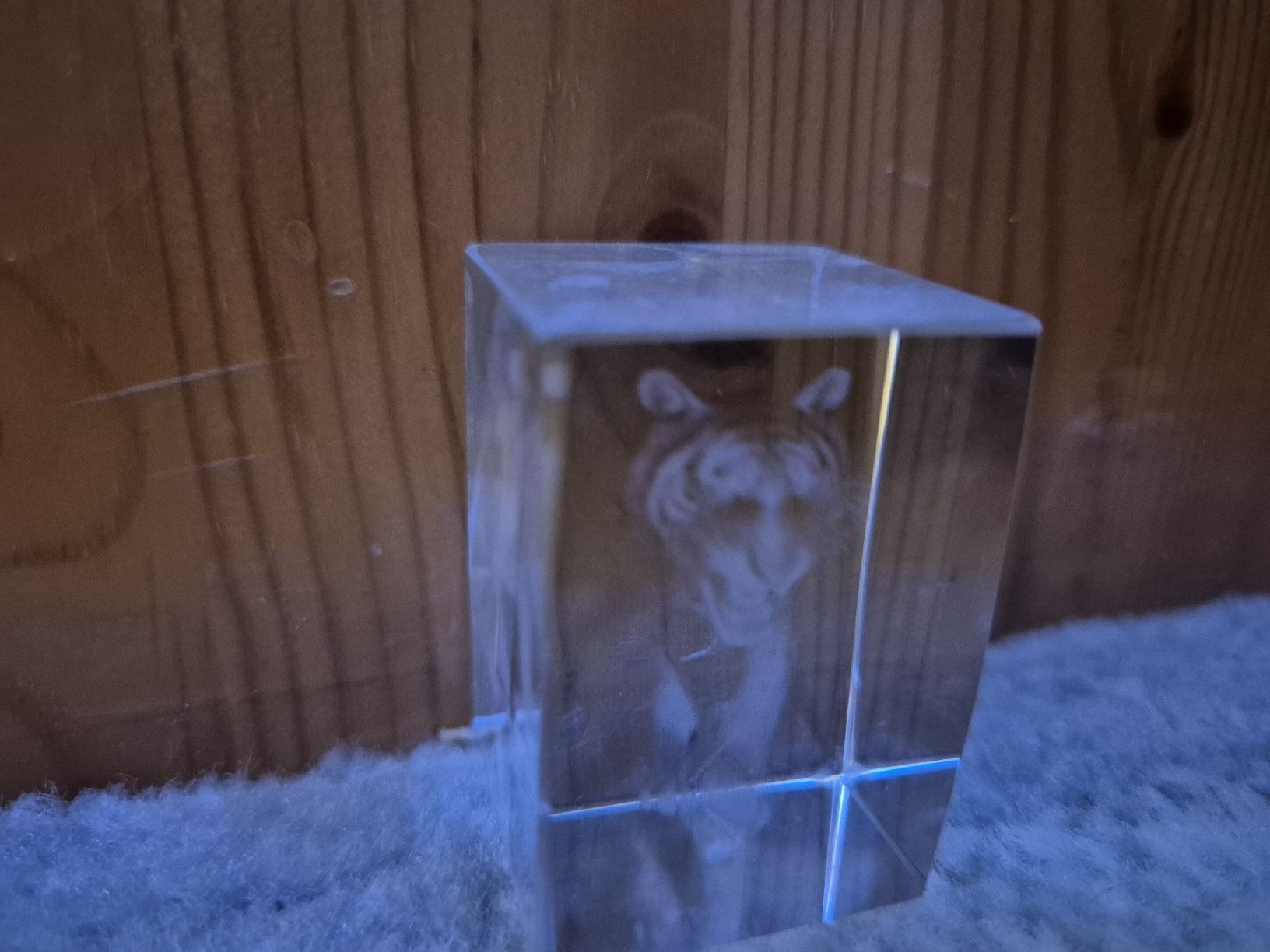 Alle Dekorationen: Winter Deko: Glaswürfel mit Tiger - ein echter Hingucker! – Neu (gemäss Beschreibung) aus Wolhusen von ima_2jjx 1