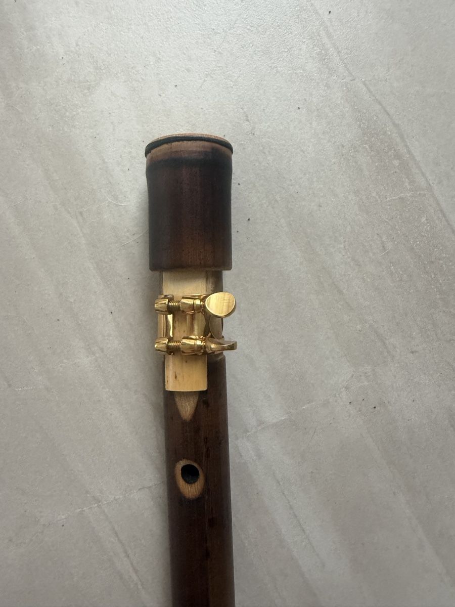 Strumenti musicali: Mini-Sax / Bambus-Saxophon – Usato da Uzwil venduto da Calla03 1