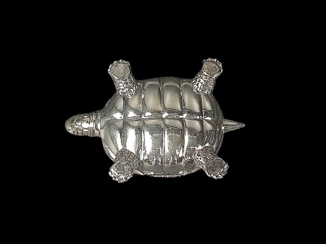Sonstige Kosmetik & Pflege: Schildkröte, kleine Pillendose mit Zange – Gebraucht aus Hünenberg von Restwert_Zug 4